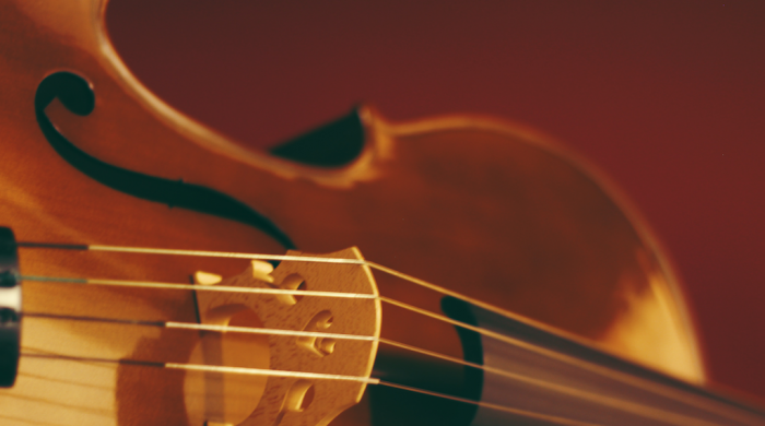 AFLviolin